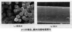 干货 | 什么是PTT 纤维？PTT将逐步替代涤纶和锦纶？